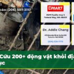 Cứu 200+ động vật khỏi địa ngục