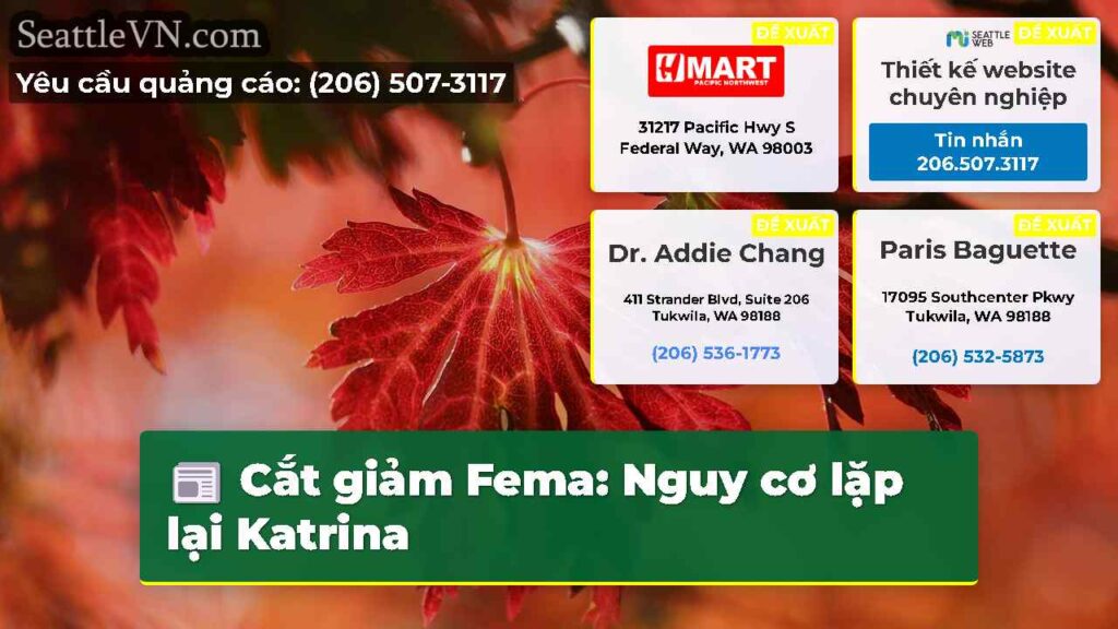 Cắt giảm Fema: Nguy cơ lặp lại Katrina