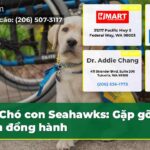 Chó con Seahawks Gặp gỡ bạn đồng hành