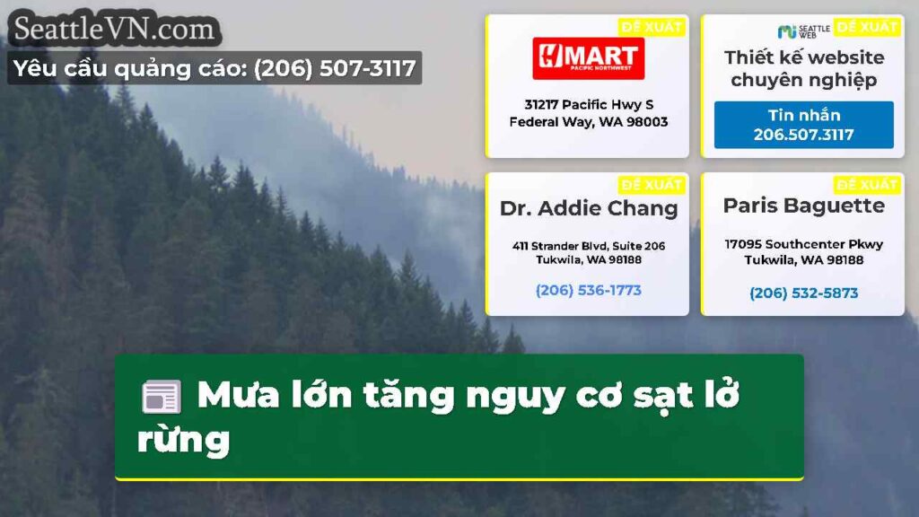 Mưa lớn tăng nguy cơ sạt lở rừng