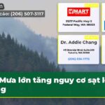 Mưa lớn tăng nguy cơ sạt lở rừng