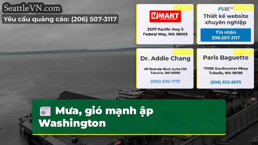 Mưa, gió mạnh ập Washington