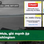 Mưa gió mạnh ập Washington