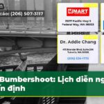 Bumbershoot Lịch diễn nghệ sĩ ấn định