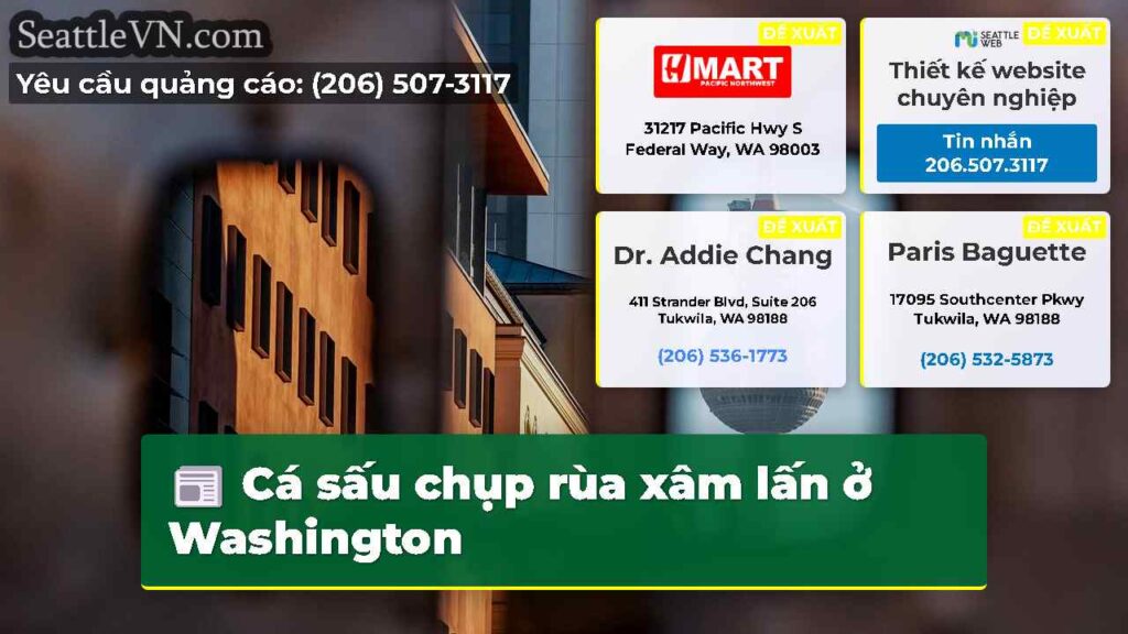 Cá sấu chụp rùa xâm lấn ở Washington