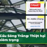 Cầu Sông Trắng Thiệt hại nghiêm trọng