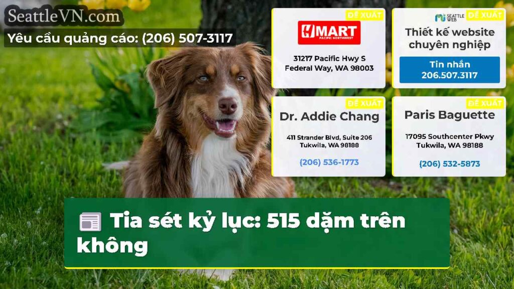 Tia sét kỷ lục: 515 dặm trên không