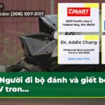 Người đi bộ đánh và giết bởi SUV tron…
