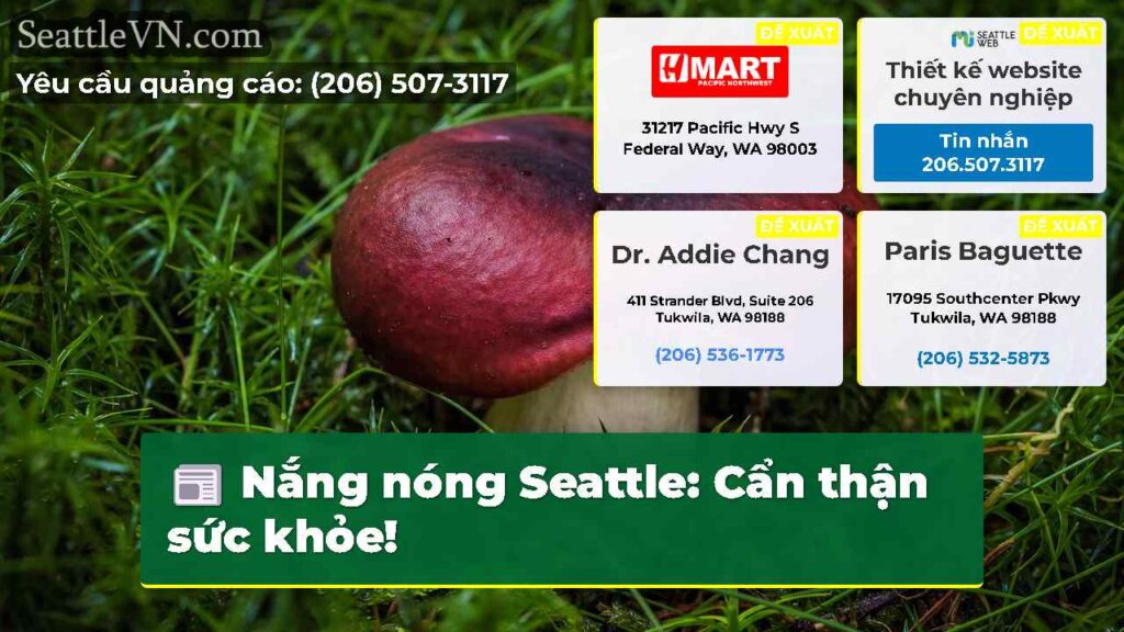 Nắng nóng Seattle: Cẩn thận sức khỏe!