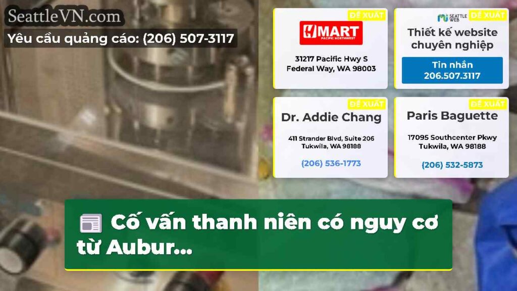 Cố vấn thanh niên có nguy cơ từ Aubur...