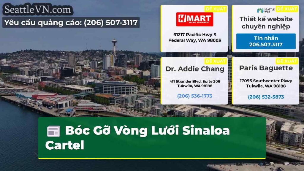 Bóc Gỡ Vòng Lưới Sinaloa Cartel