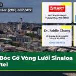 Bóc Gỡ Vòng Lưới Sinaloa Cartel