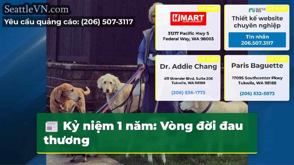 Kỷ niệm 1 năm: Vòng đời đau thương