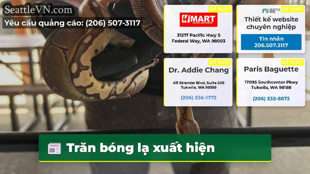 Trăn bóng lạ xuất hiện