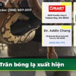 Trăn bóng lạ xuất hiện