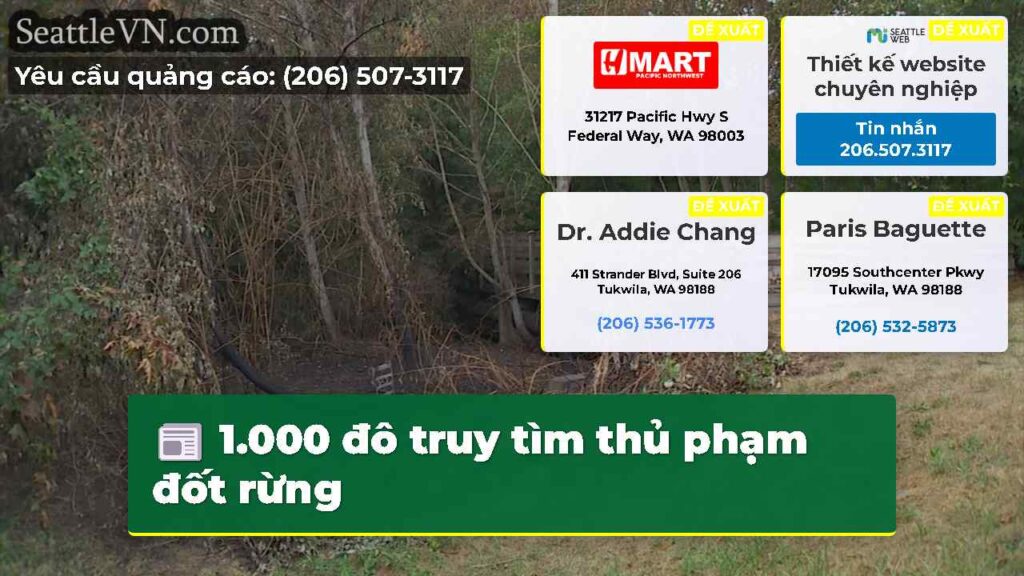 1.000 đô truy tìm thủ phạm đốt rừng