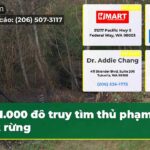 1.000 đô truy tìm thủ phạm đốt rừng