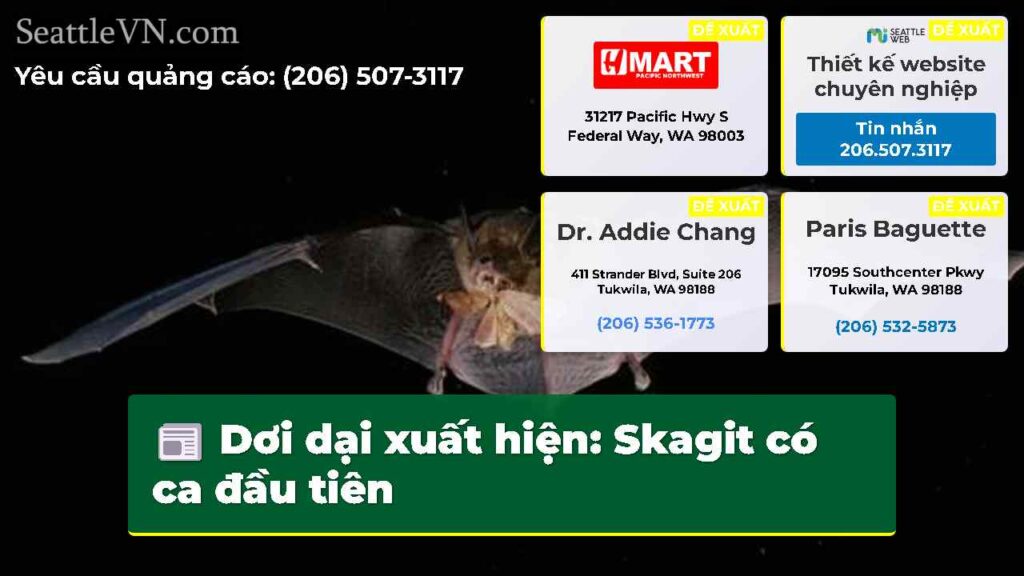 Dơi dại xuất hiện: Skagit có ca đầu tiên