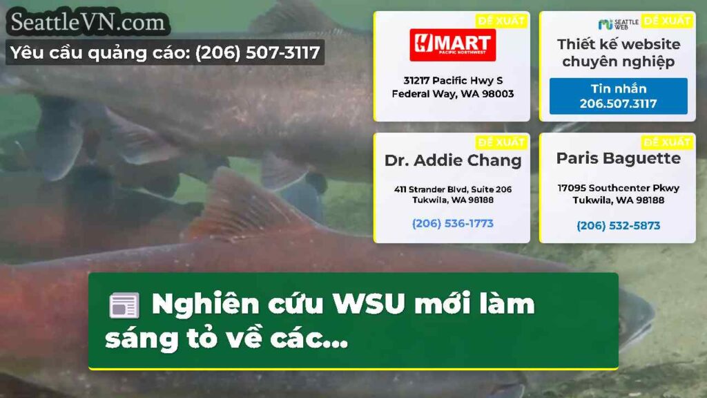 Nghiên cứu WSU mới làm sáng tỏ về các...
