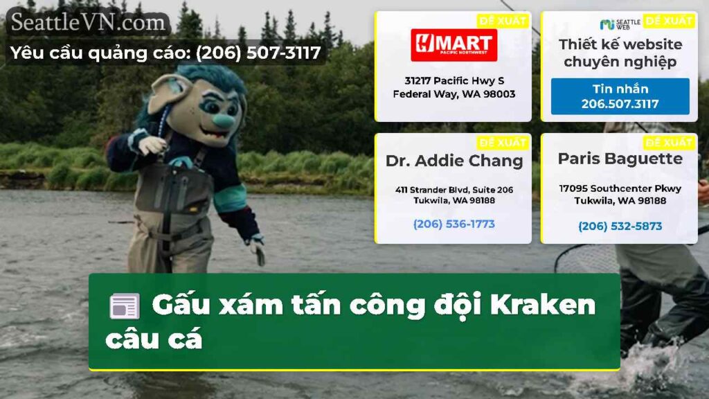 Gấu xám tấn công đội Kraken câu cá