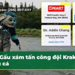 Gấu xám tấn công đội Kraken câu cá