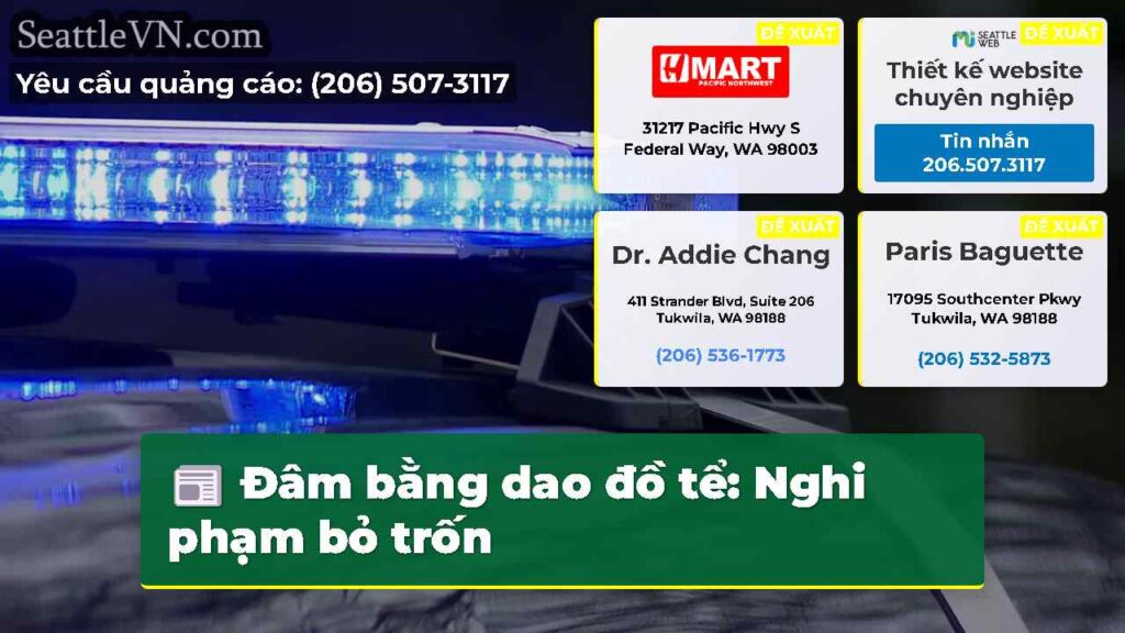 Đâm bằng dao đồ tể: Nghi phạm bỏ trốn