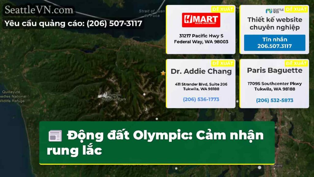 Động đất Olympic: Cảm nhận rung lắc