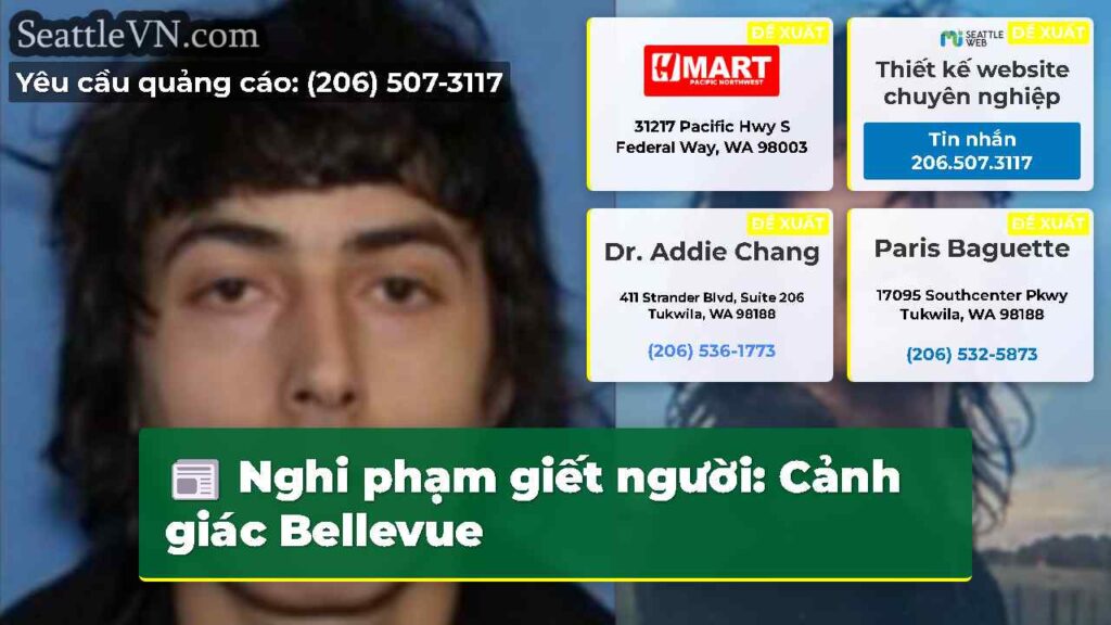 Nghi phạm giết người: Cảnh giác Bellevue
