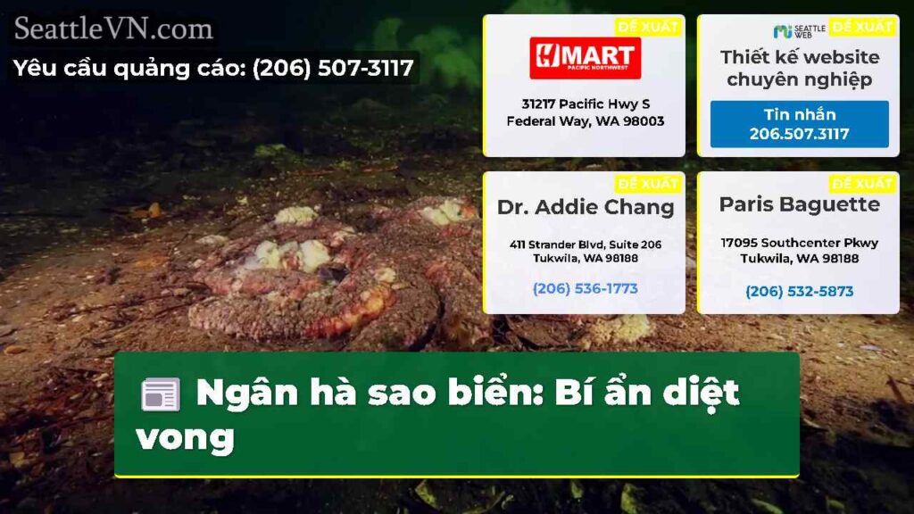 Ngân hà sao biển: Bí ẩn diệt vong