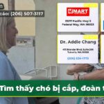 Tìm thấy chó bị cắp đoàn tụ!