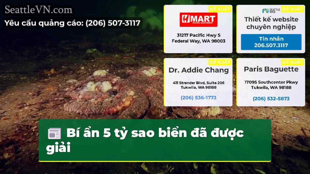 Bí ẩn 5 tỷ sao biển đã được giải