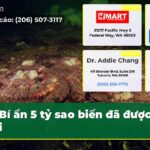 Bí ẩn 5 tỷ sao biển đã được giải