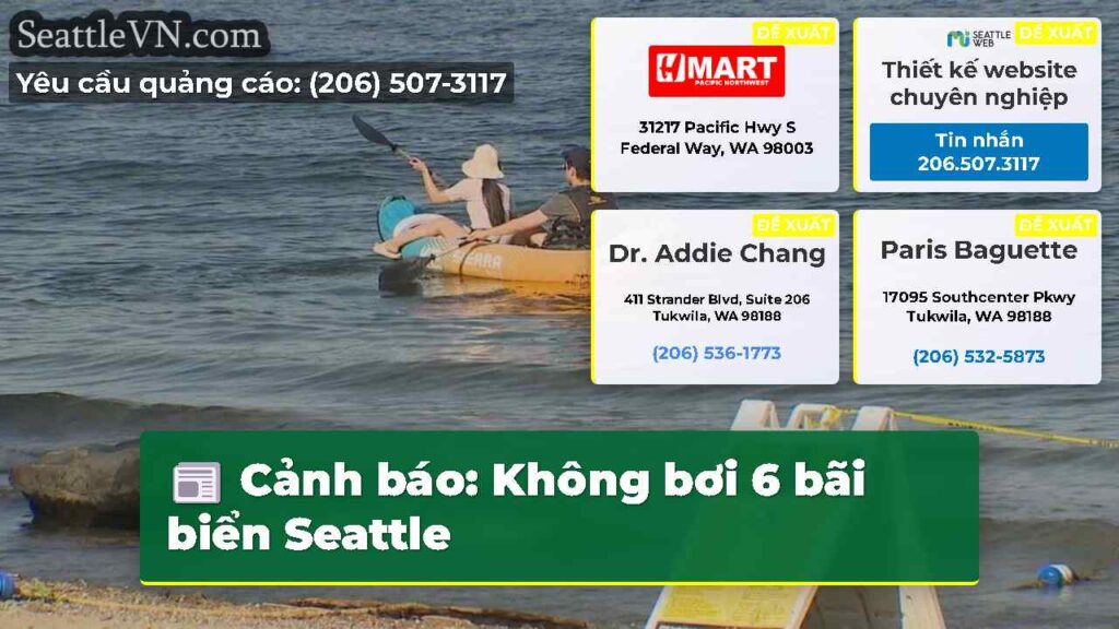 Cảnh báo: Không bơi 6 bãi biển Seattle