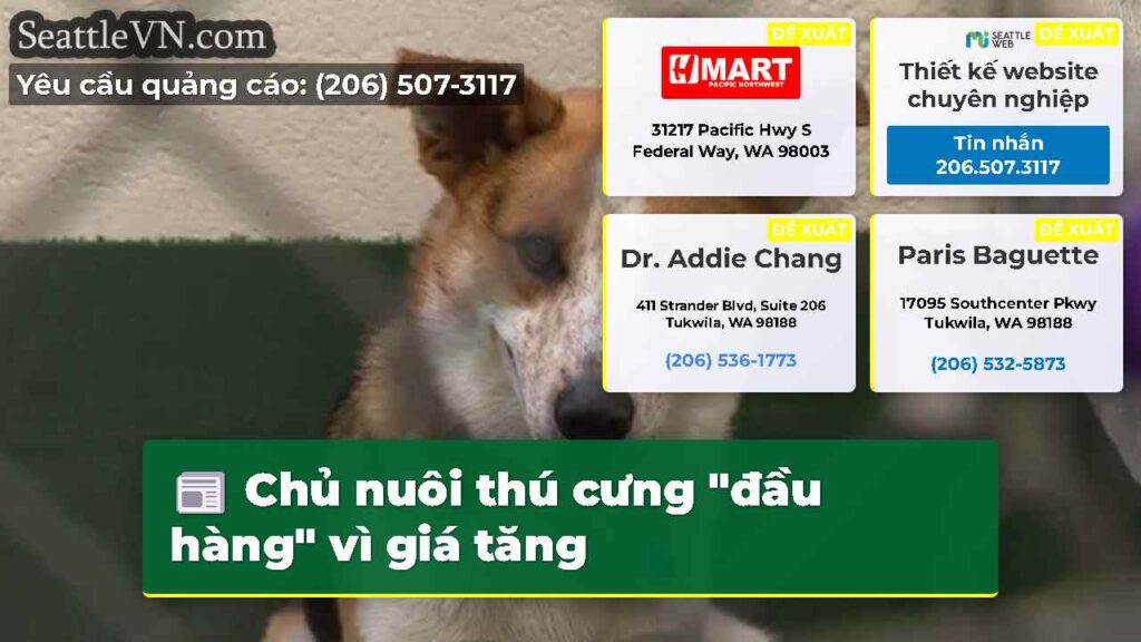 Chủ nuôi thú cưng "đầu hàng" vì giá tăng