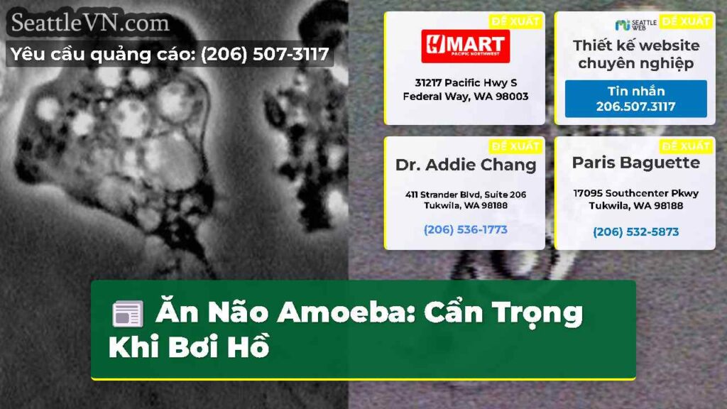 Ăn Não Amoeba: Cẩn Trọng Khi Bơi Hồ