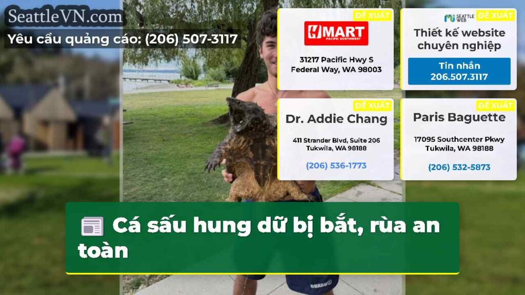 Cá sấu hung dữ bị bắt, rùa an toàn