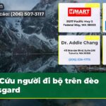 Cứu người đi bộ trên đèo Aasgard