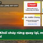 Khói cháy rừng quay lại mưa đến!