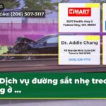 Dịch vụ đường sắt nhẹ treo lơ lửng ở …