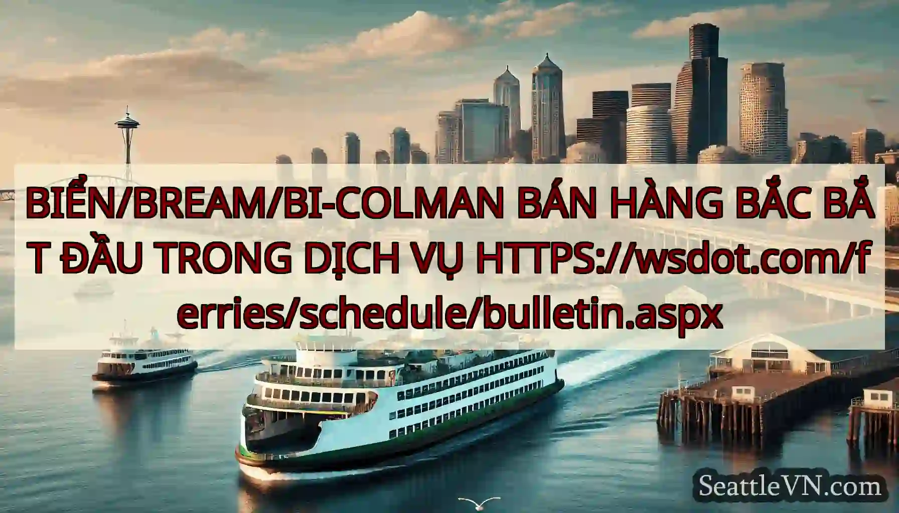 BIỂN/BREAM/BI-COLMAN BÁN HÀNG BẮC BẮT ĐẦU TRONG