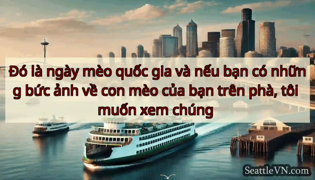 Đó là ngày mèo quốc gia và nếu bạn có những bức