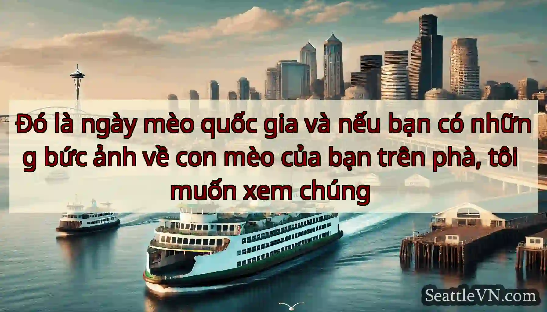 Đó là ngày mèo quốc gia và nếu bạn có những bức