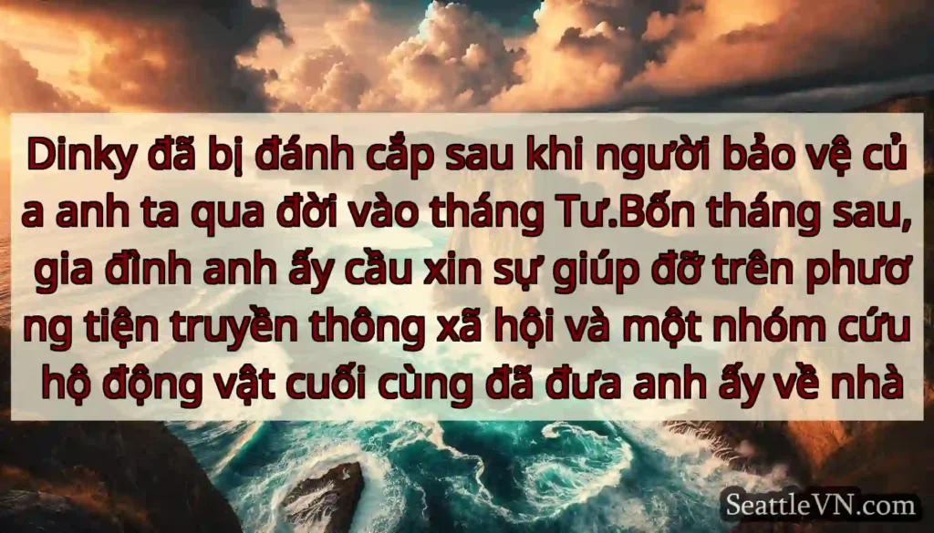 Dinky đã bị đánh cắp sau khi người bảo vệ của anh