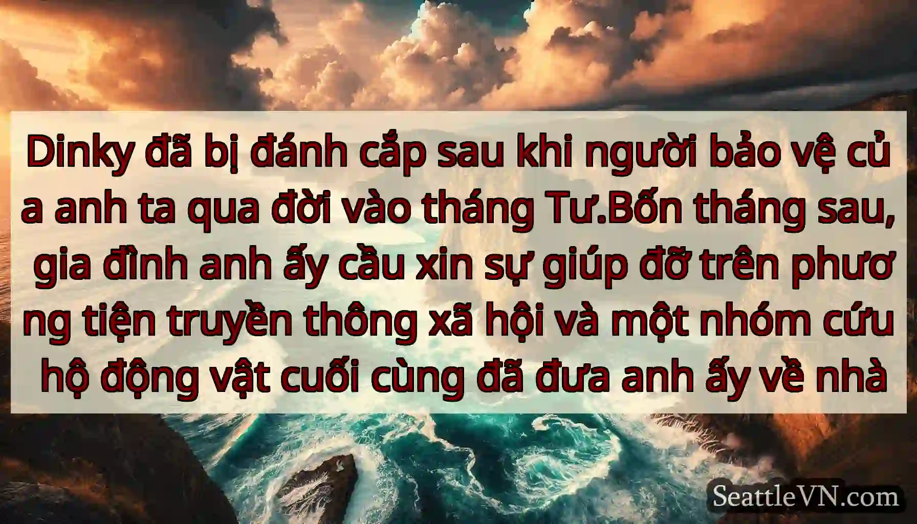 Dinky đã bị đánh cắp sau khi người bảo vệ của anh