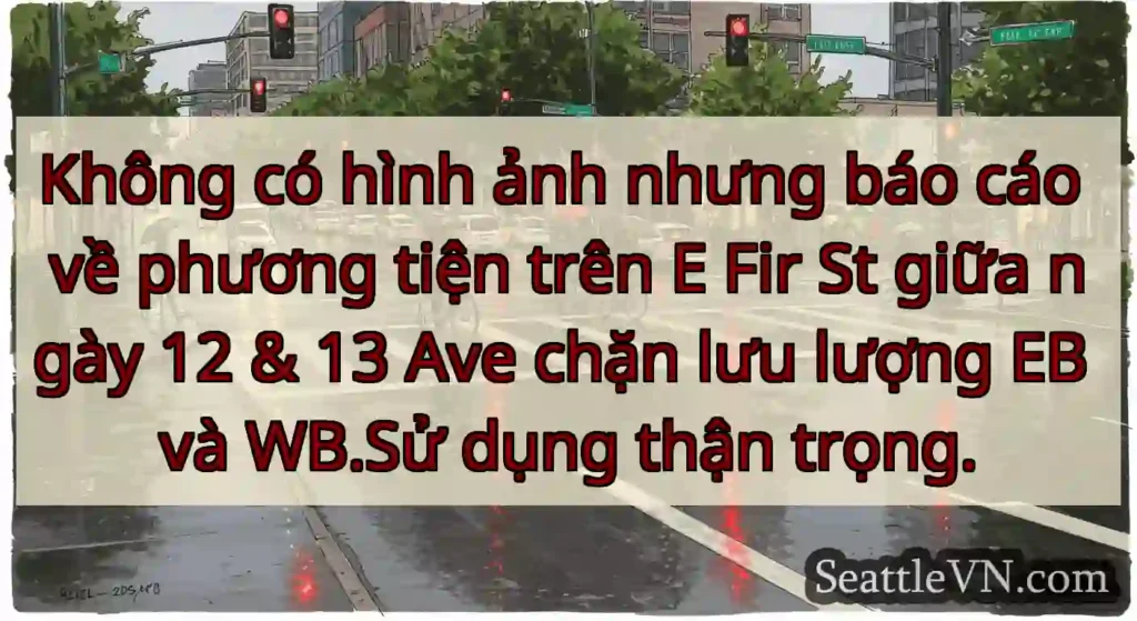 Không có hình ảnh nhưng báo cáo về phương tiện