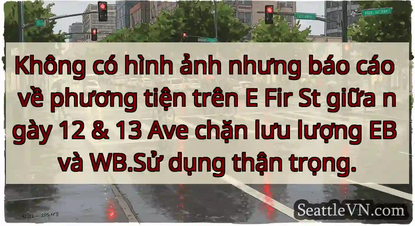 Không có hình ảnh nhưng báo cáo về phương tiện