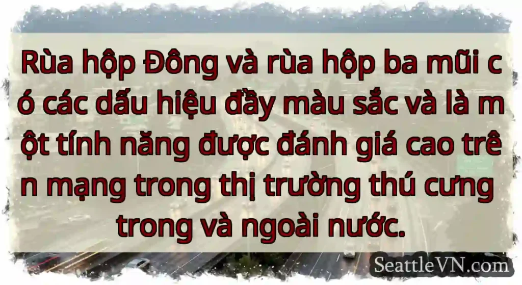 Rùa hộp Đông và rùa hộp ba mũi có các dấu hiệu