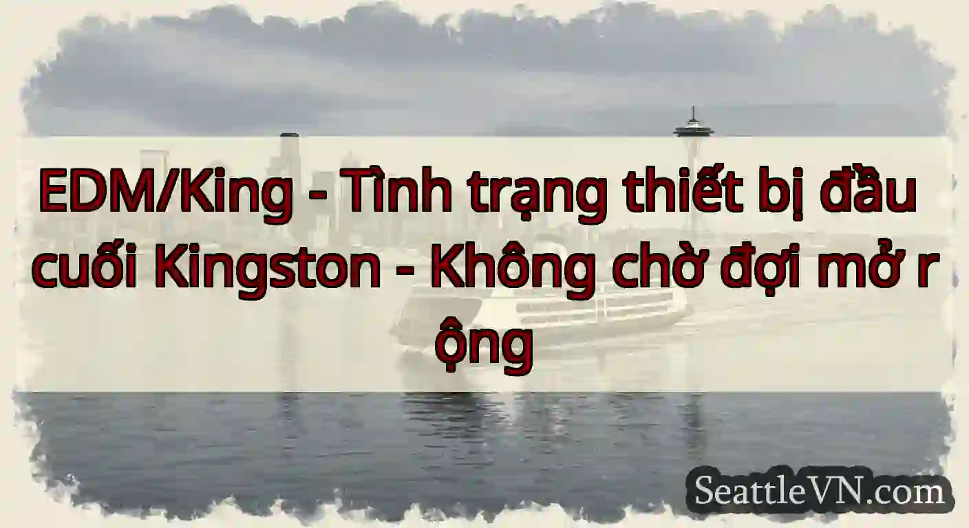 EDM/King - Tình trạng thiết bị đầu cuối Kingston