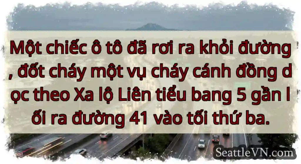 Một chiếc ô tô đã rơi ra khỏi đường, đốt cháy một