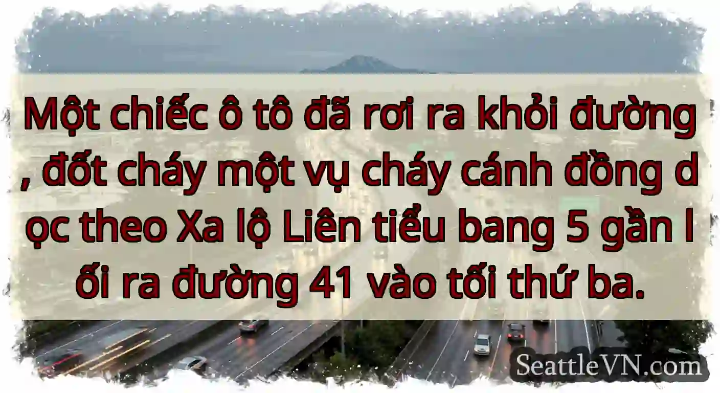 Một chiếc ô tô đã rơi ra khỏi đường, đốt cháy một